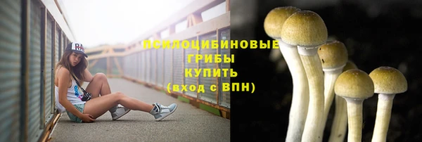 дмт Абаза