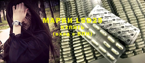 мет Инсар