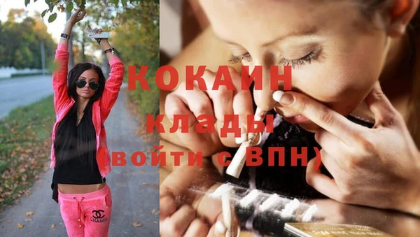 дмт Абаза