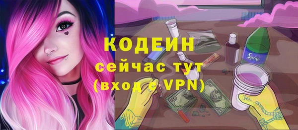дмт Абаза